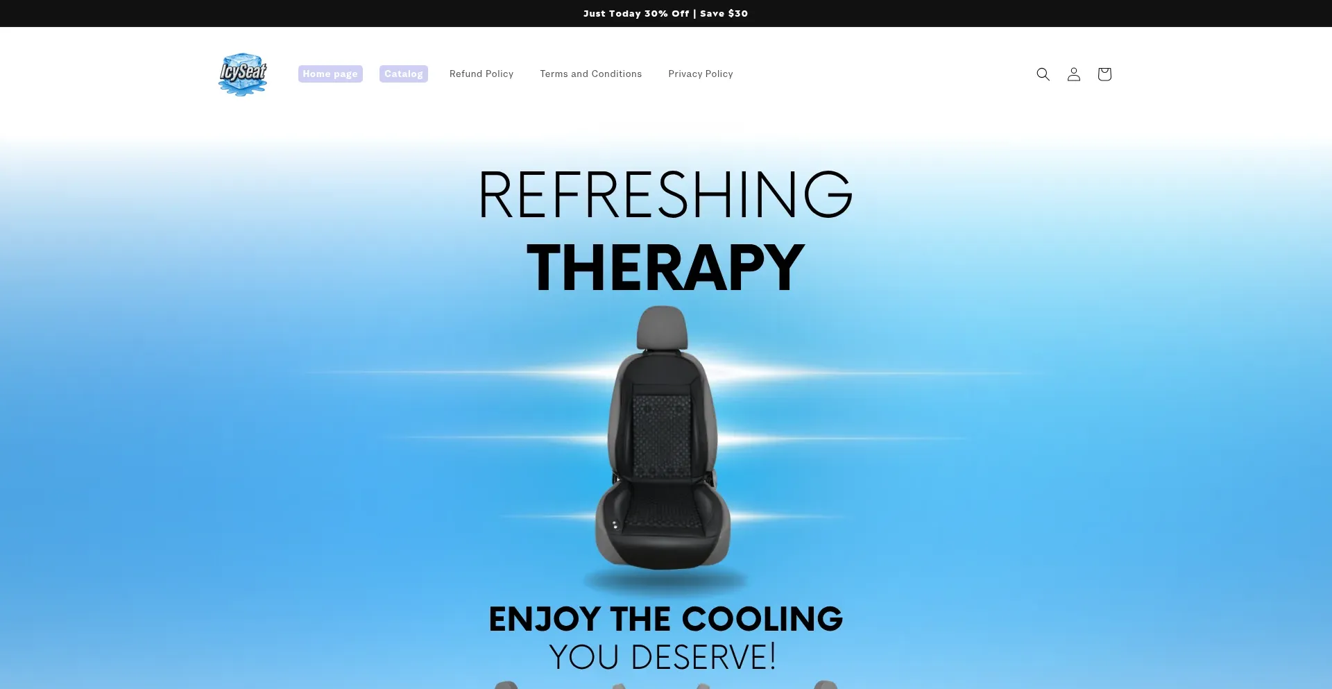 Website screenshot of Theicyseat.com