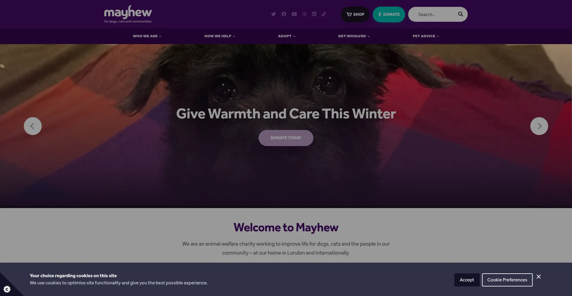 Themayhew.org