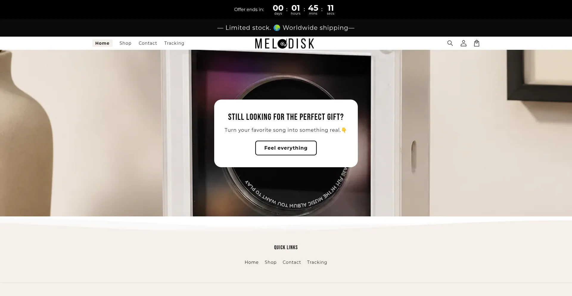 Themelodisk.store