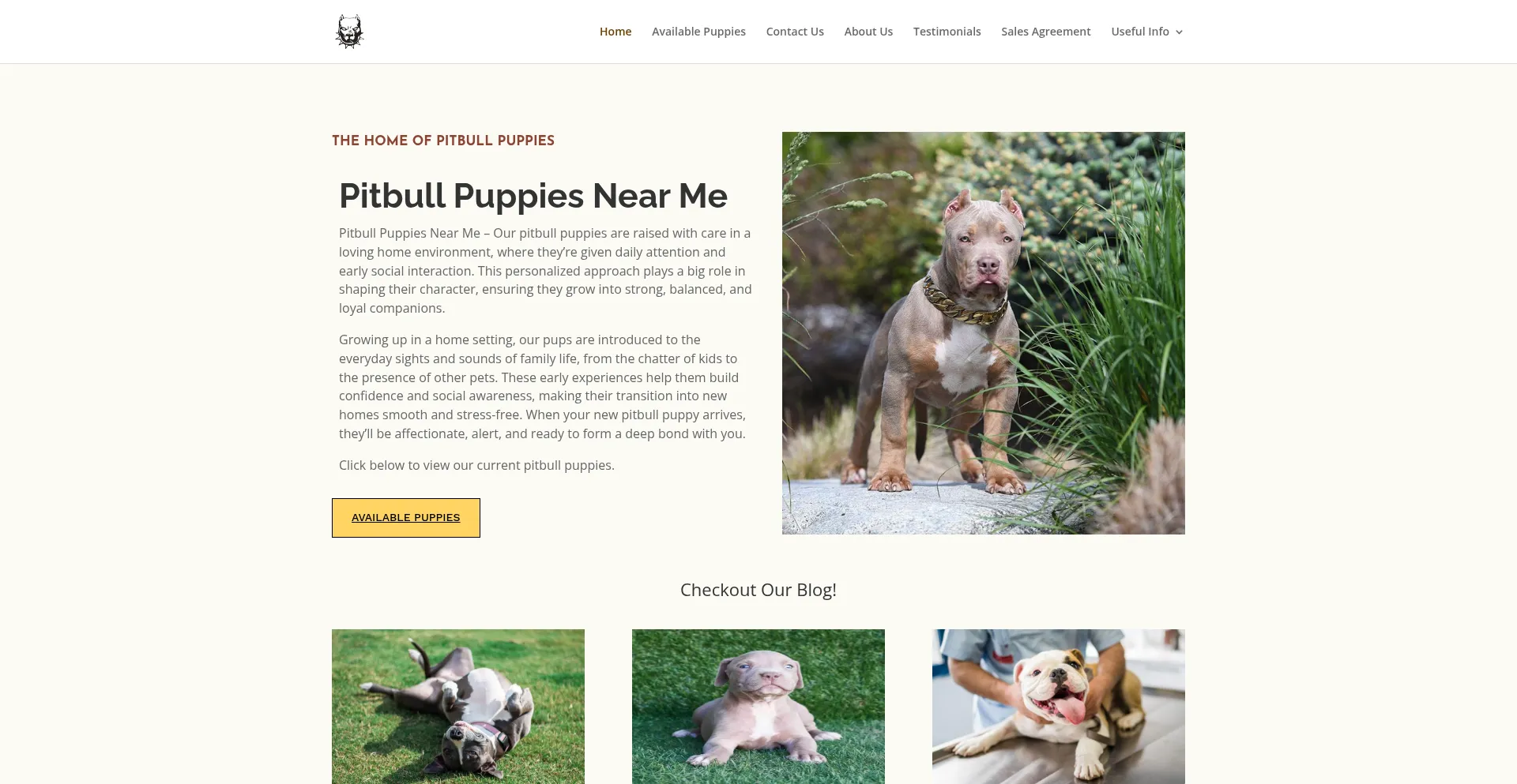 Thepittieproject.us
