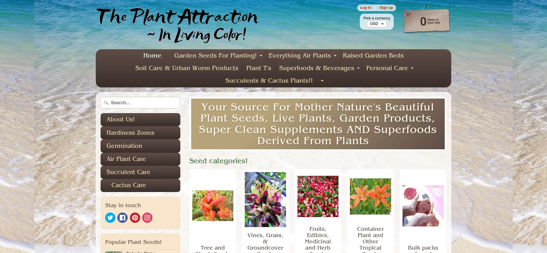 Theplantattraction.com