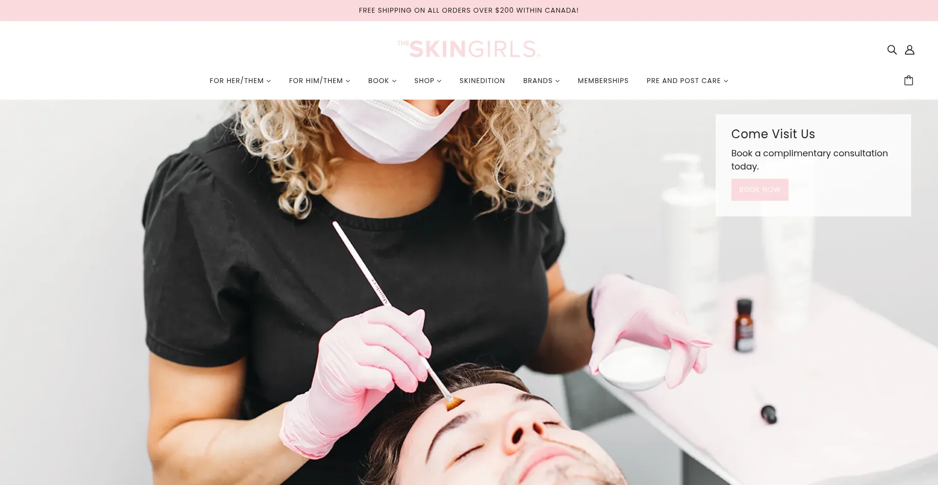 Website screenshot of Theskingirls.ca