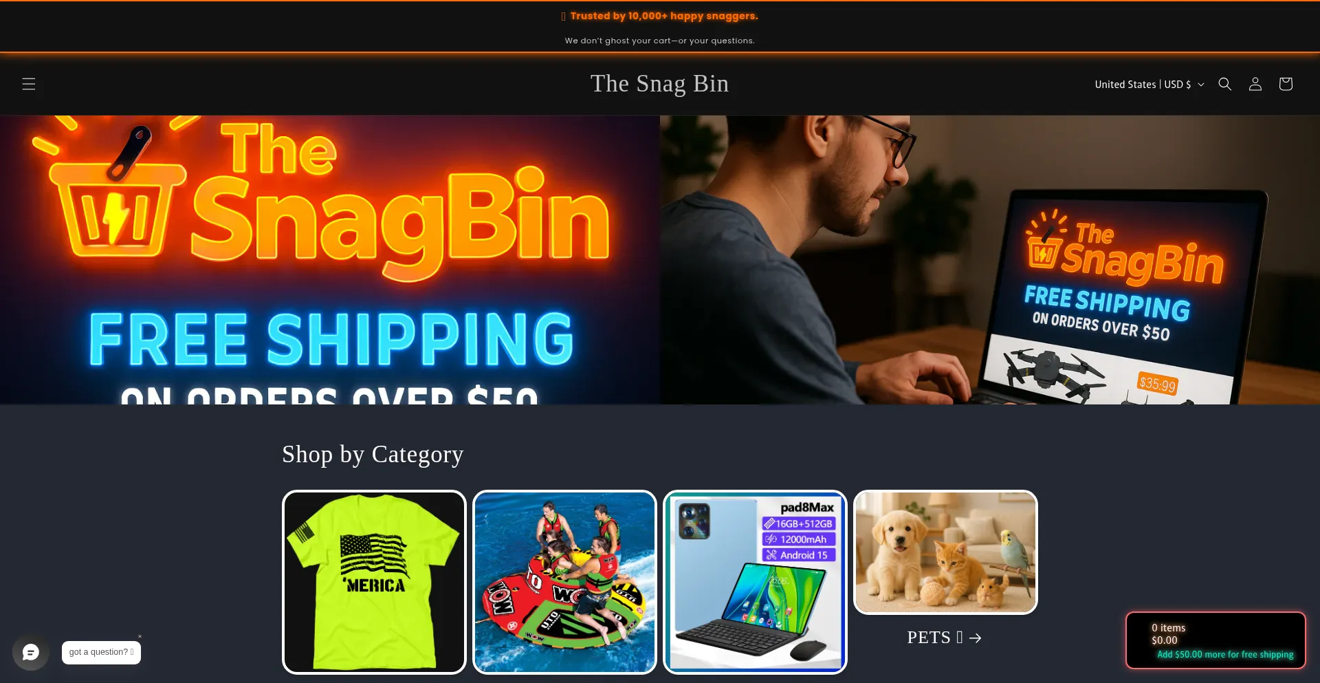 Website screenshot of Thesnagbin.com