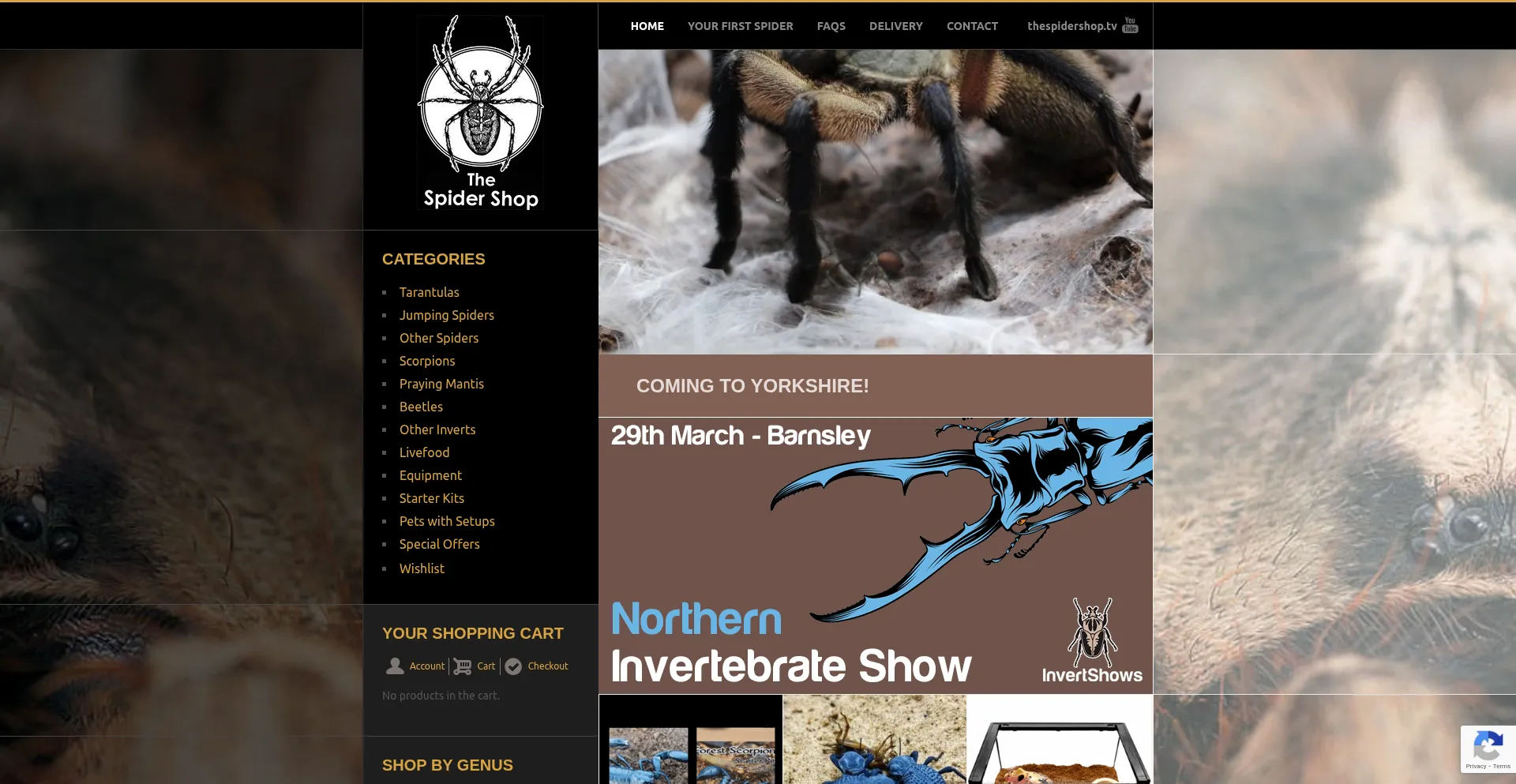 Thespidershop.co.uk