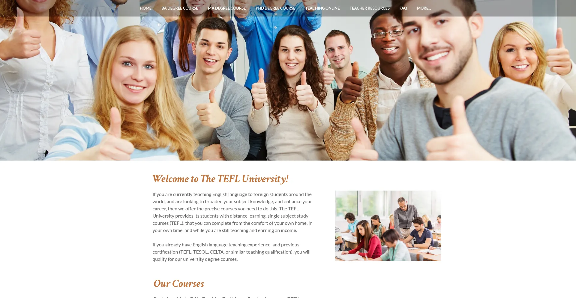 Thetefluniversity.com