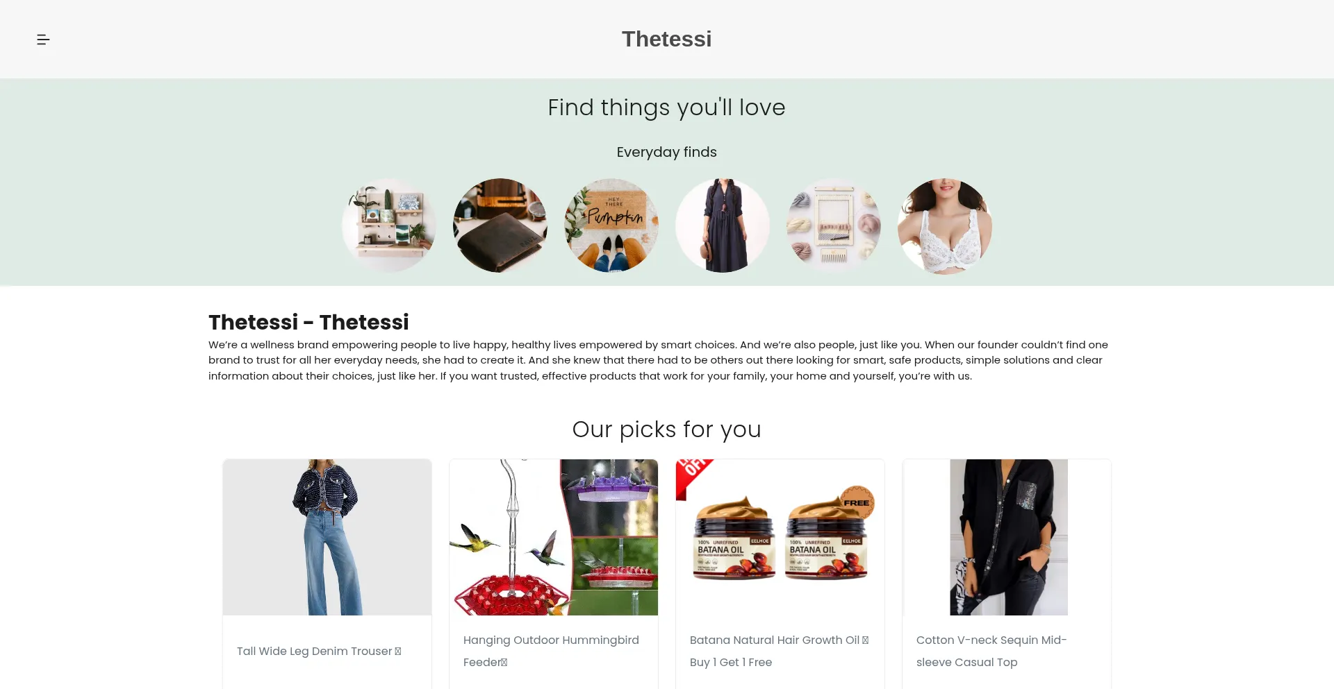 Ist Thetessi.com sicher und vertrauenswürdig?