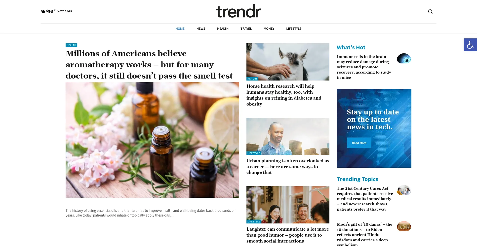 Ist Thetrendrguide.com sicher und vertrauenswürdig?