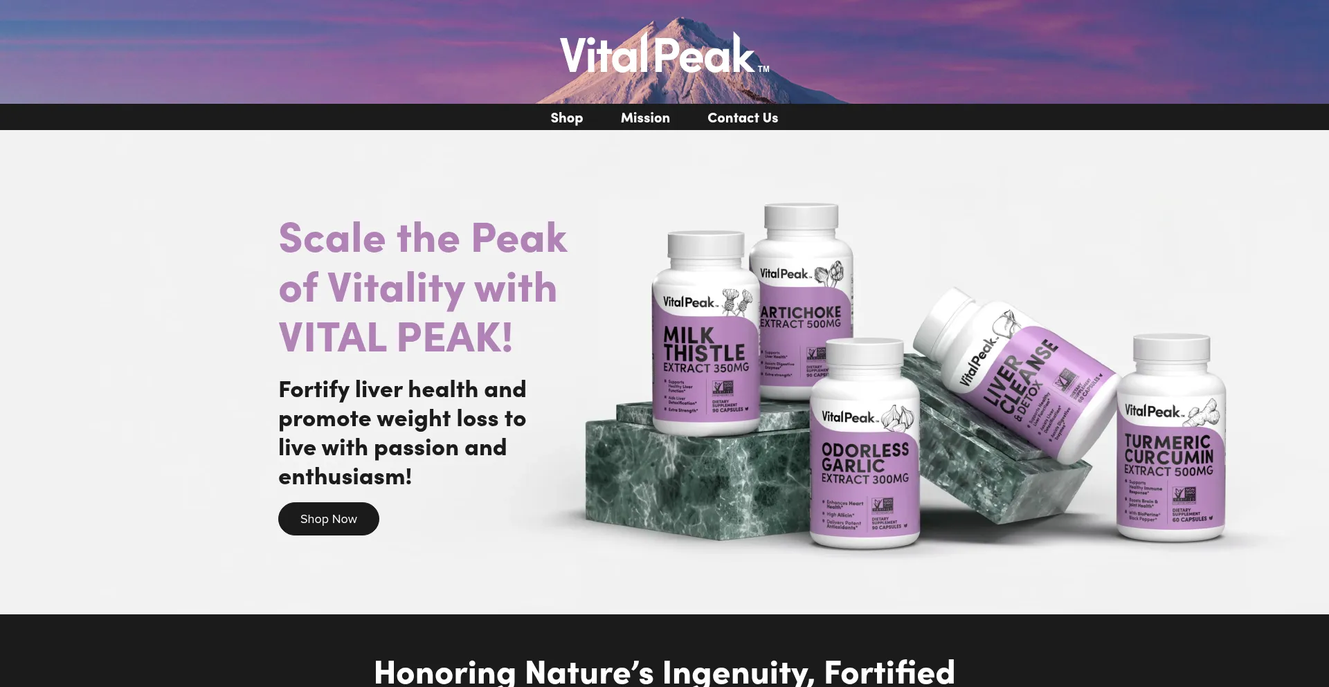 Website screenshot of Thevitalpeak.com