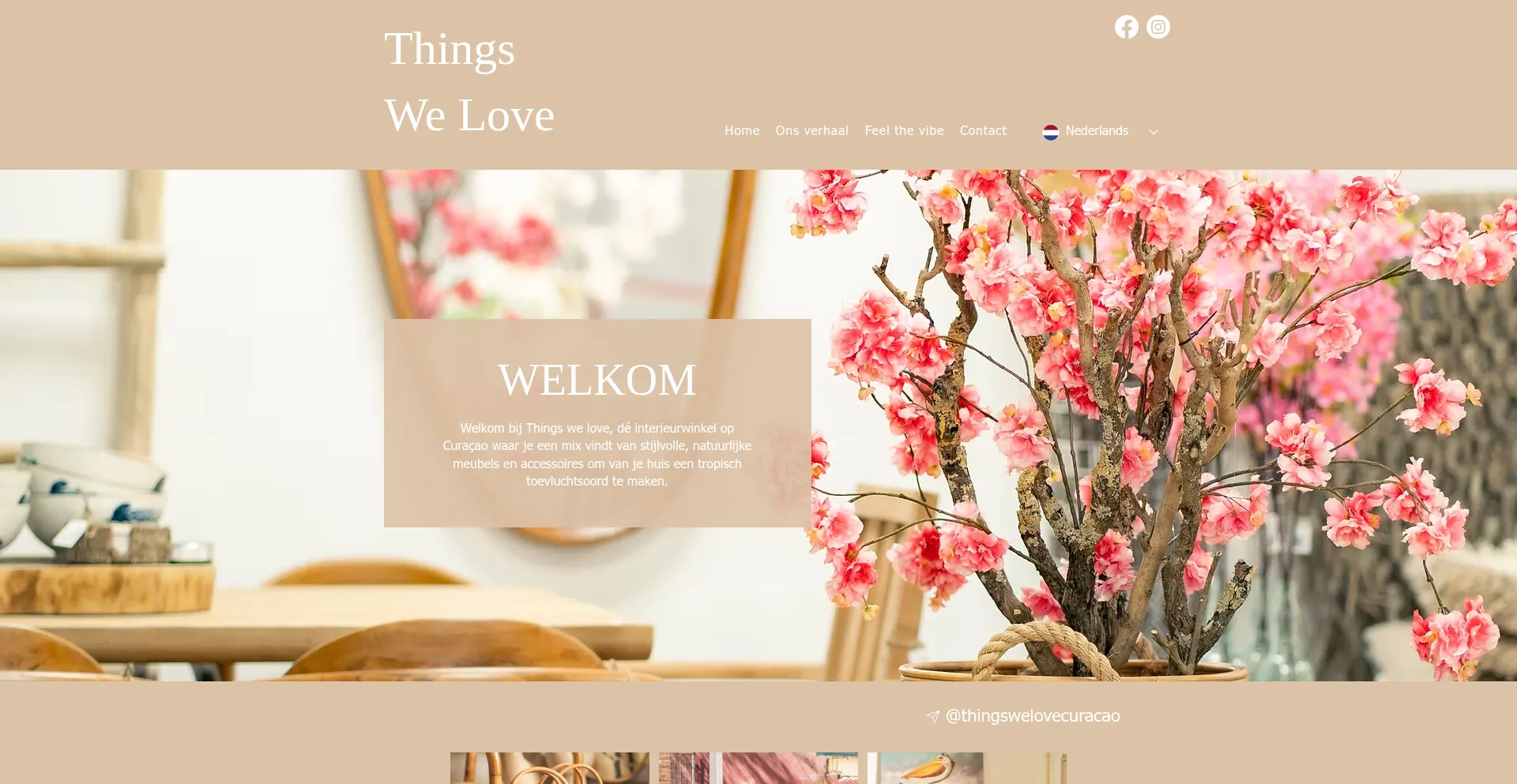 Website screenshot of Thingswelovecuracao.com