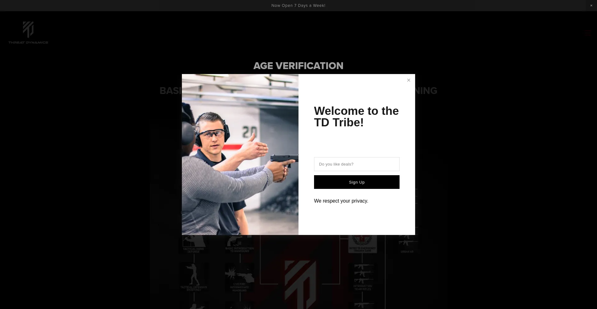 Website screenshot of Threatdynamics.com