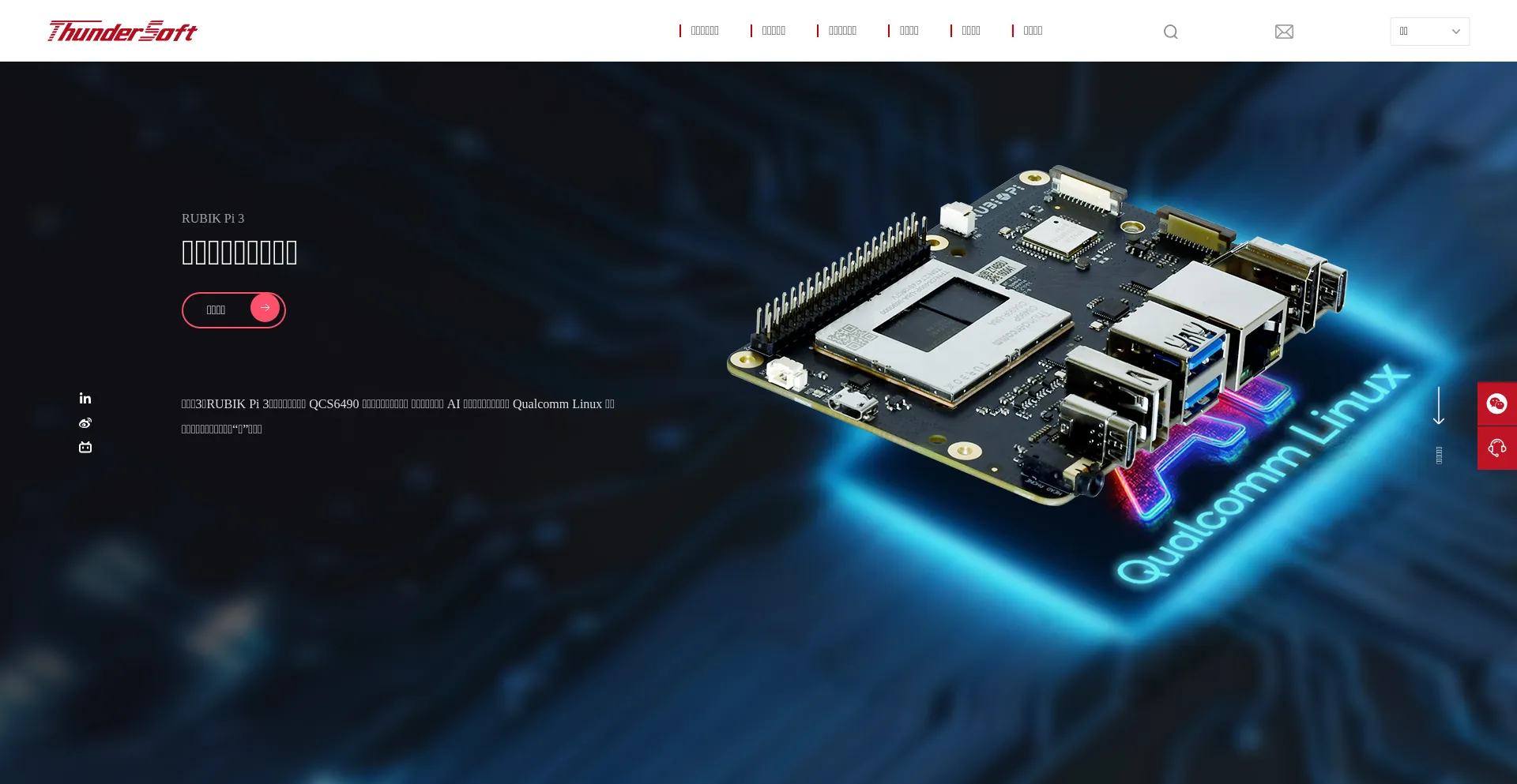Thundersoft.com Screenshot