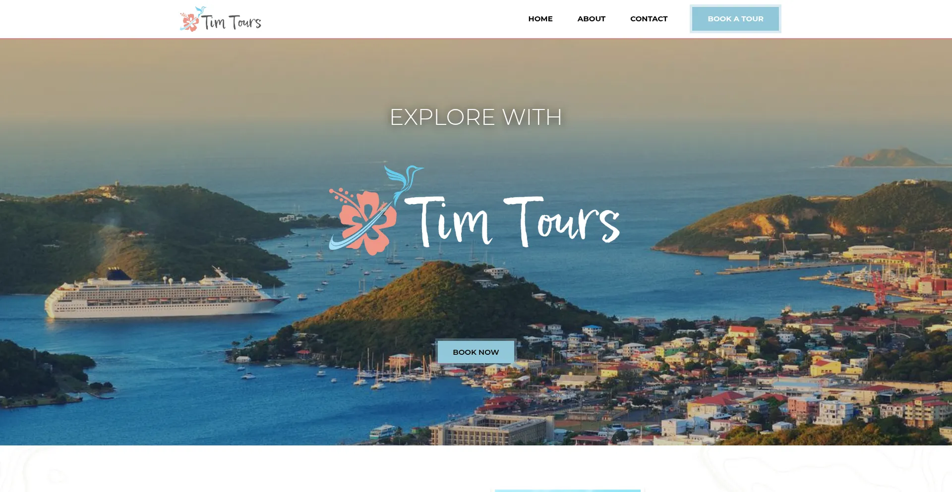 Timtoursstthomas.com