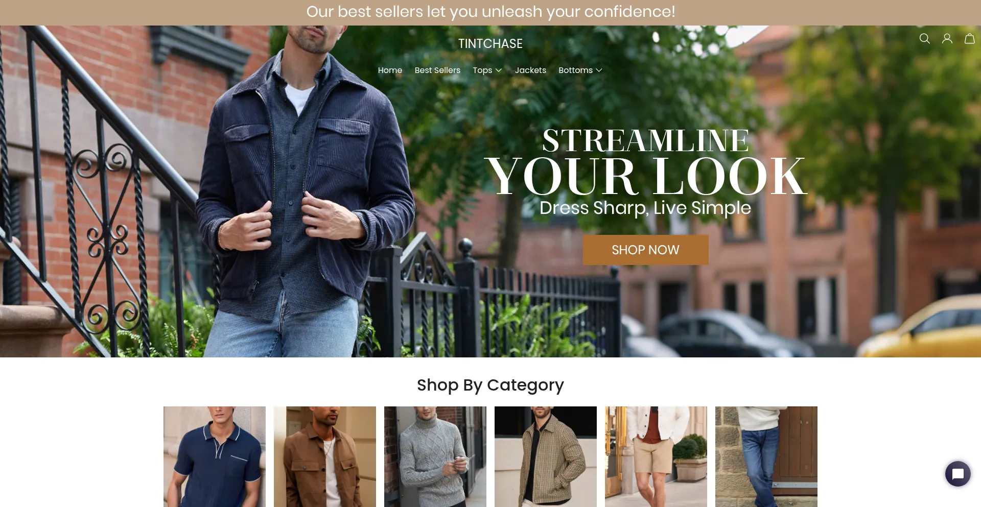 Website screenshot of Tintchase.com