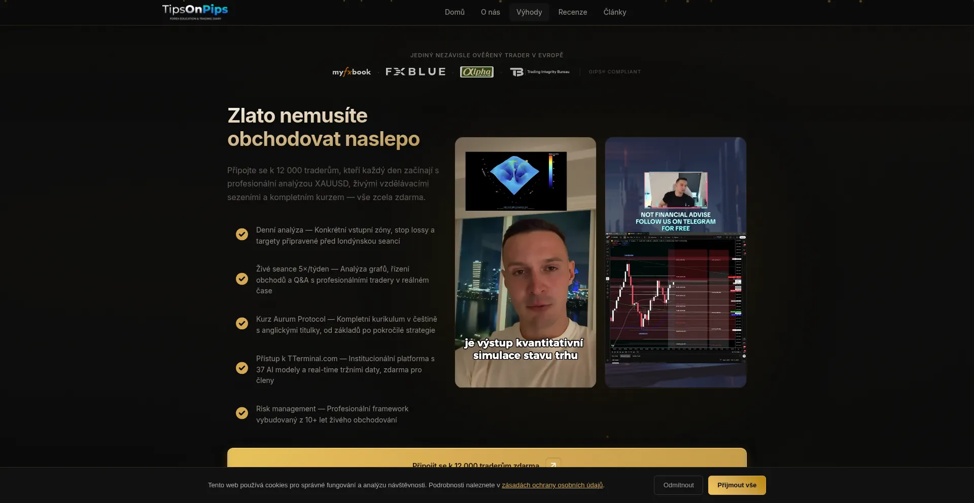 Tipsonpips.com