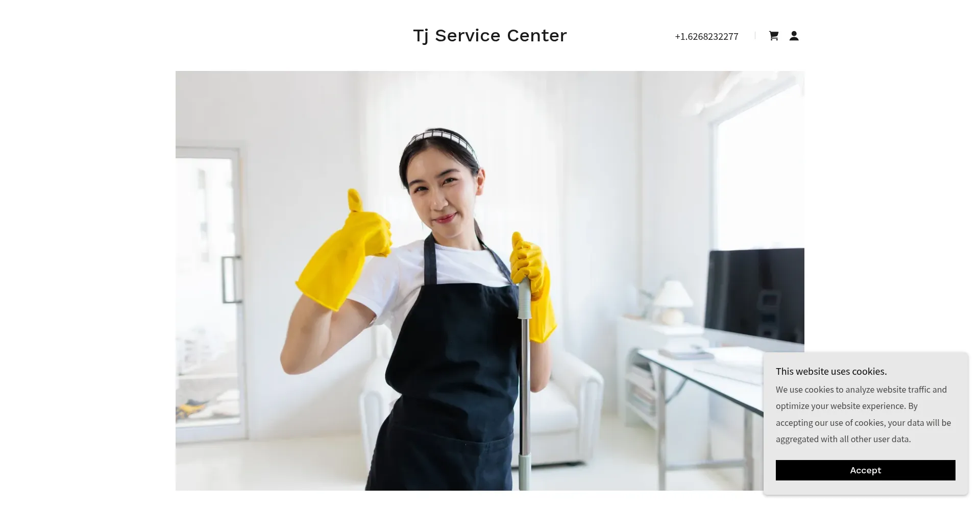 Website screenshot of Tjservicecenter.com