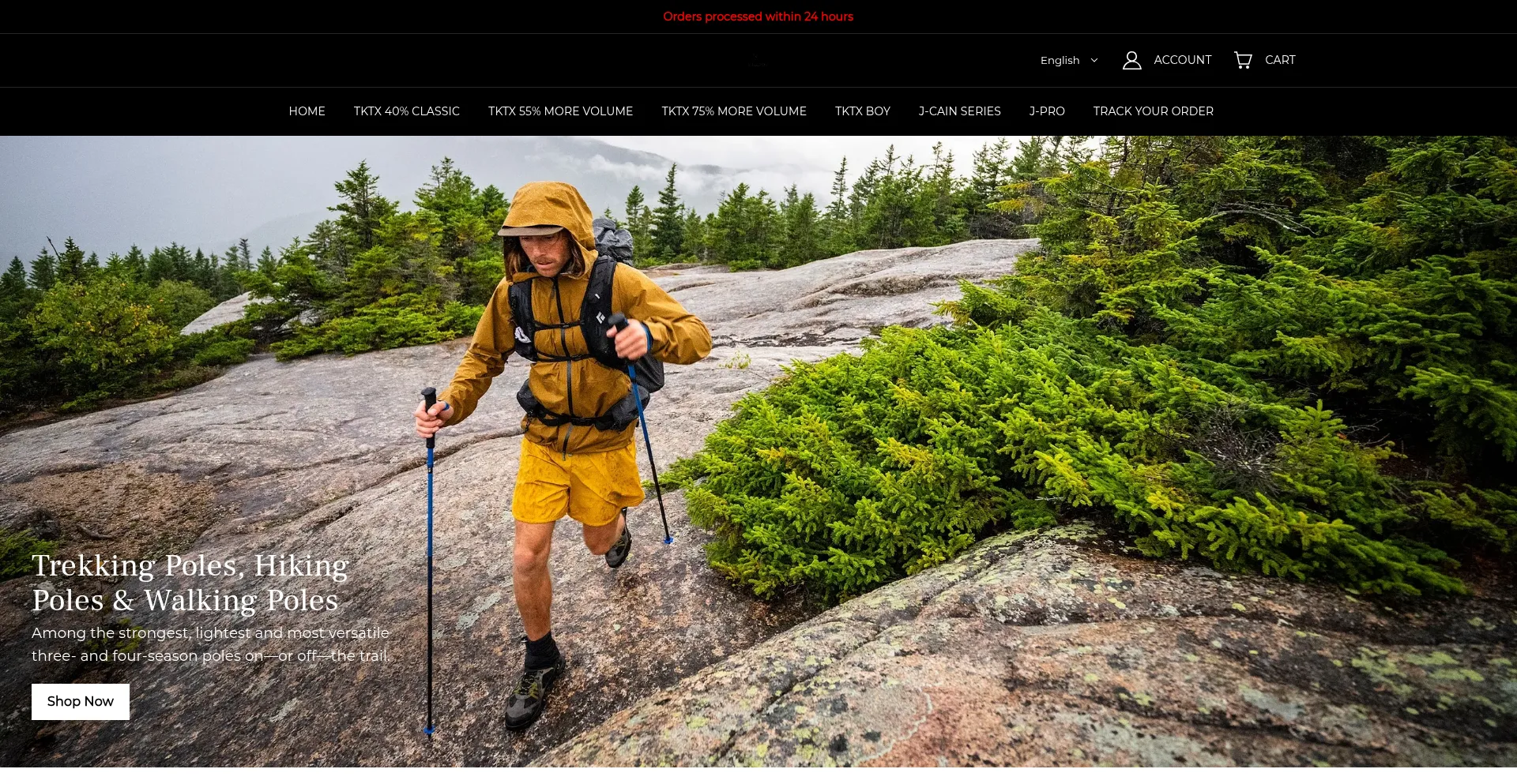 Website screenshot of Tktxguru.com