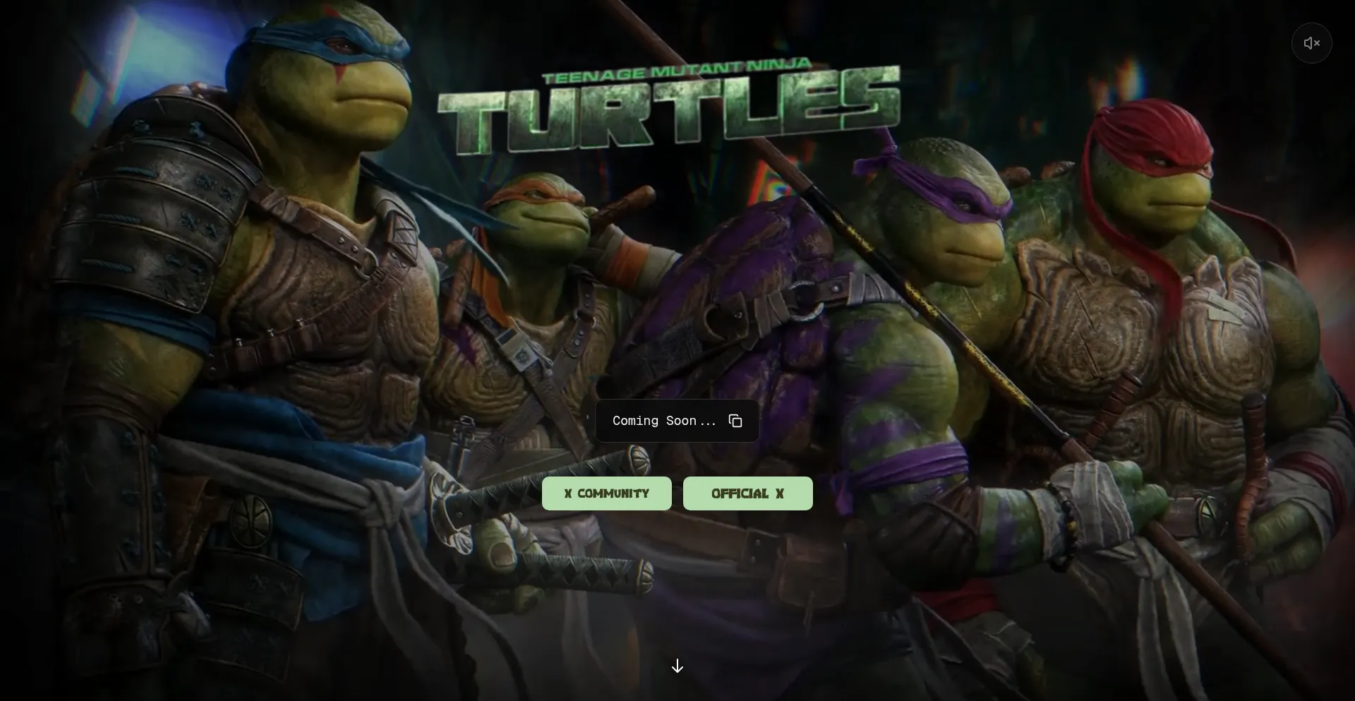 Tmnt.fun