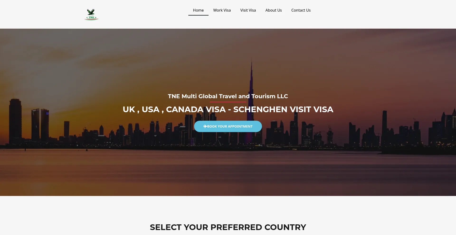 Tnemultiglobaltravel.com