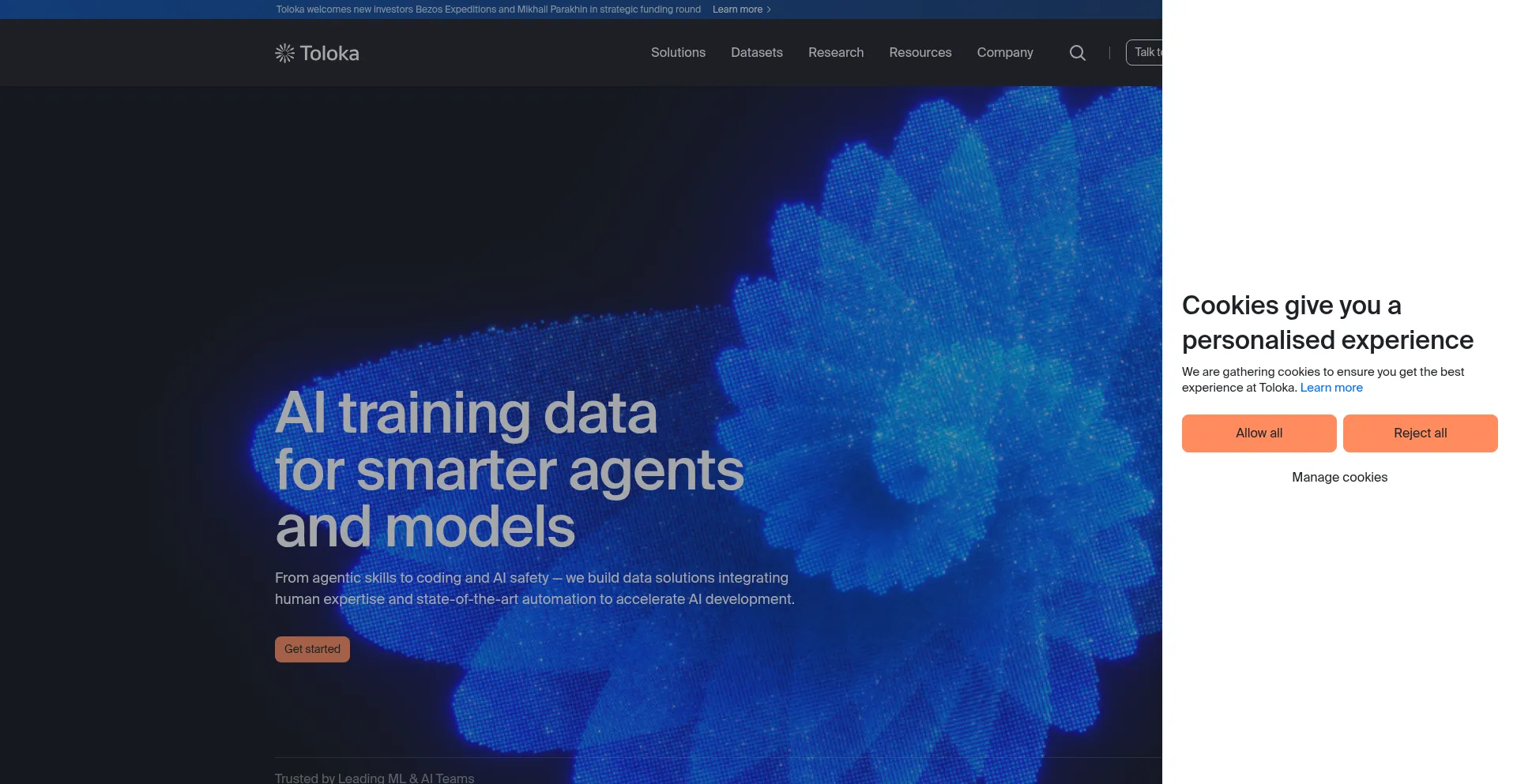 Website screenshot of Toloka.ai