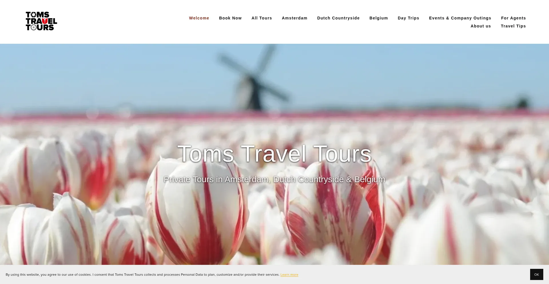 Tomstraveltours.com
