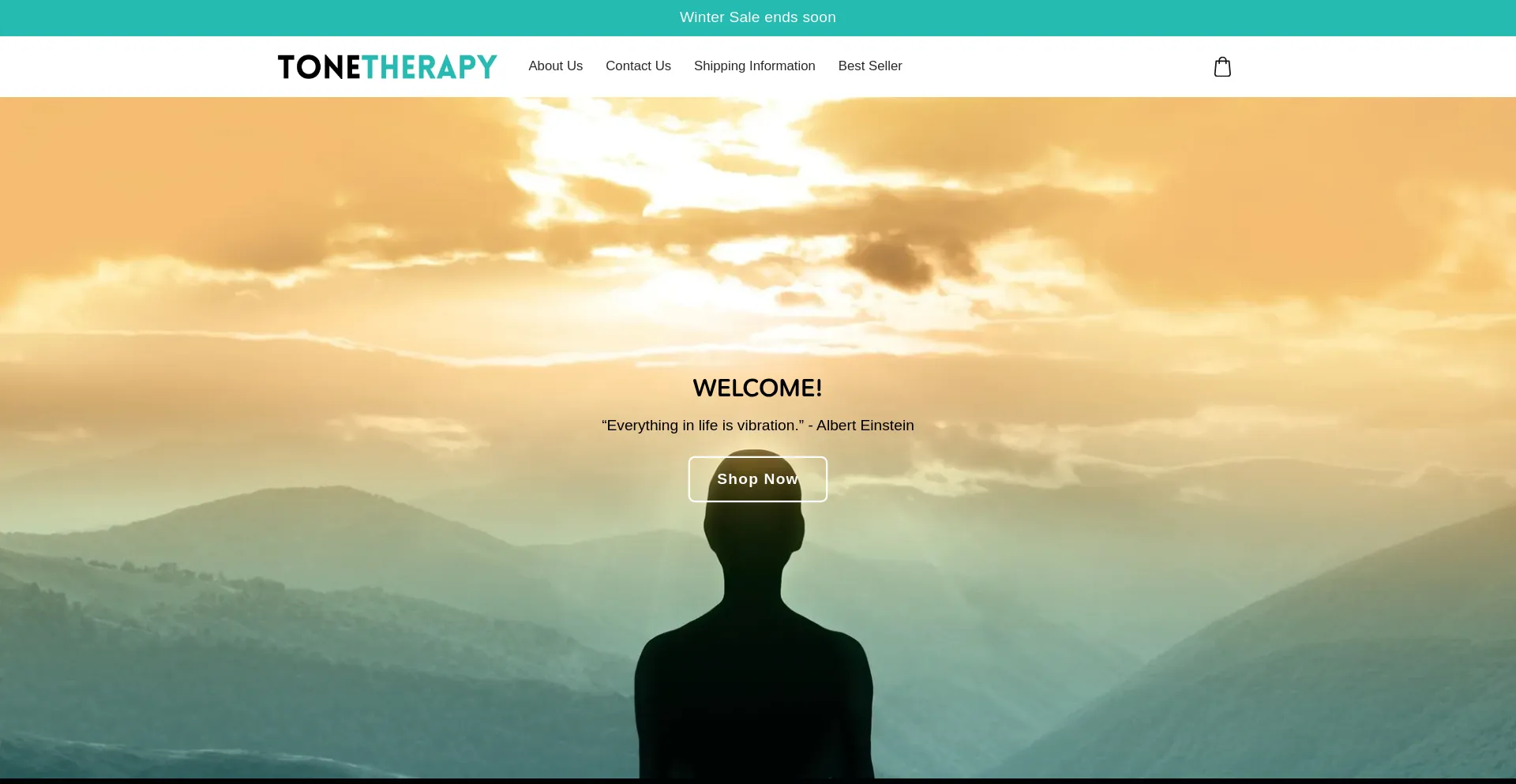 Website screenshot of Tonetherapyco.com