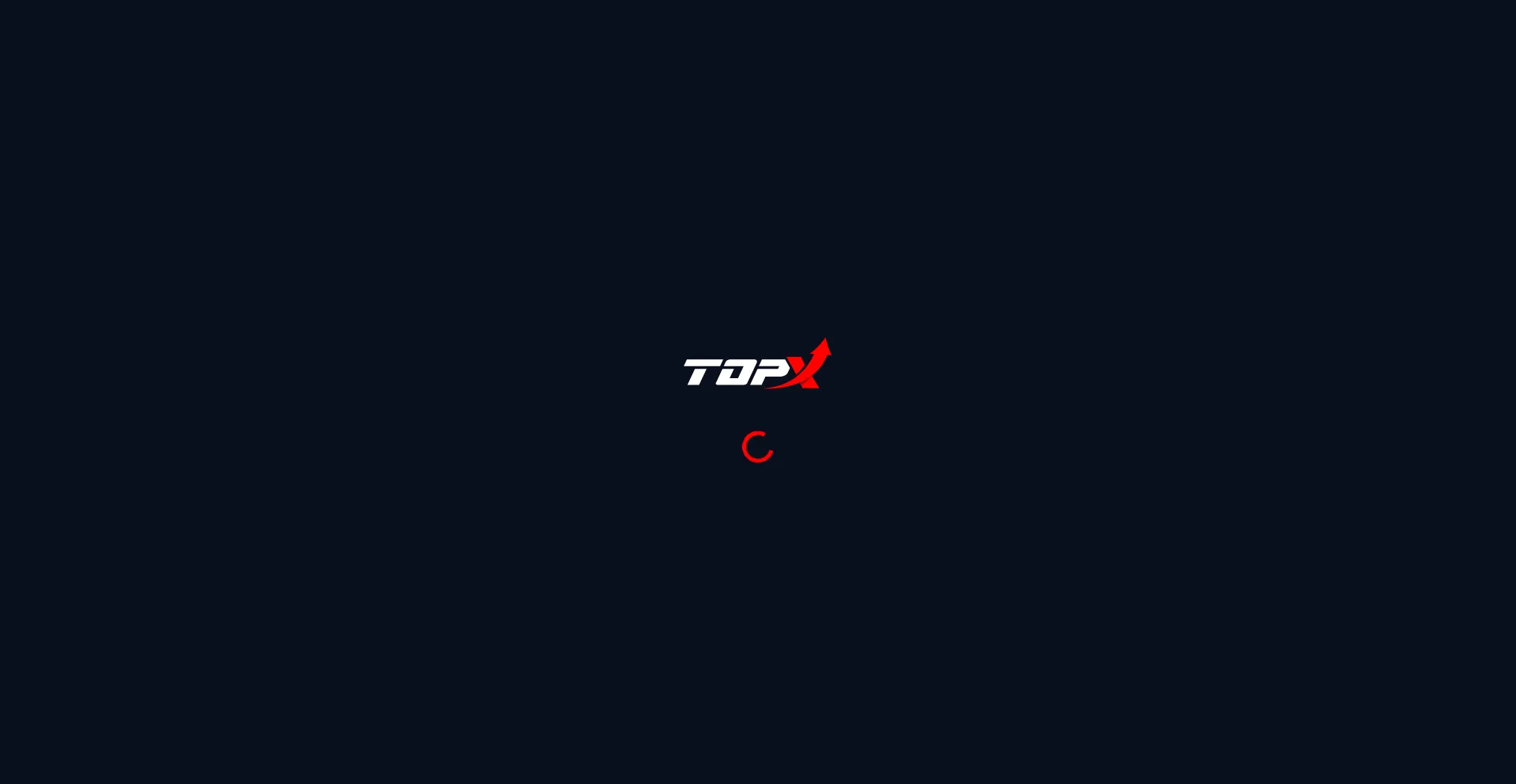 Website screenshot of Top-master.icu