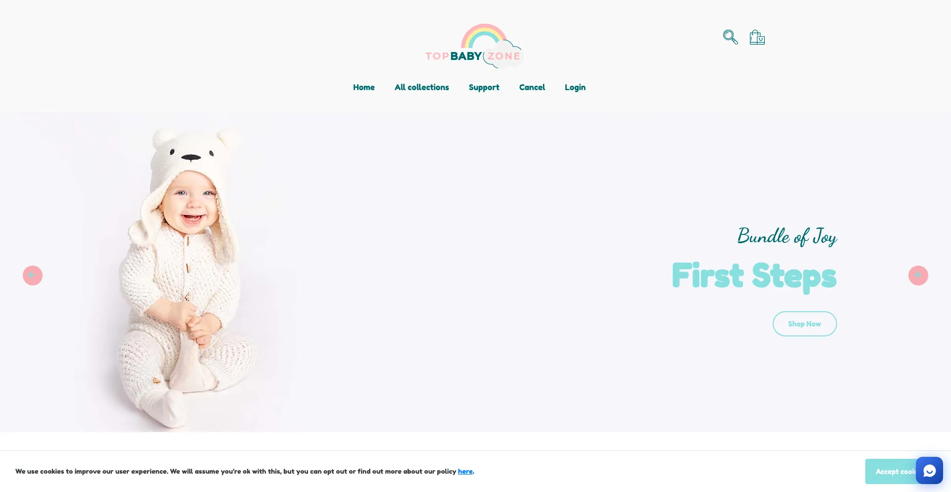 Website screenshot of Topbabyzone.com