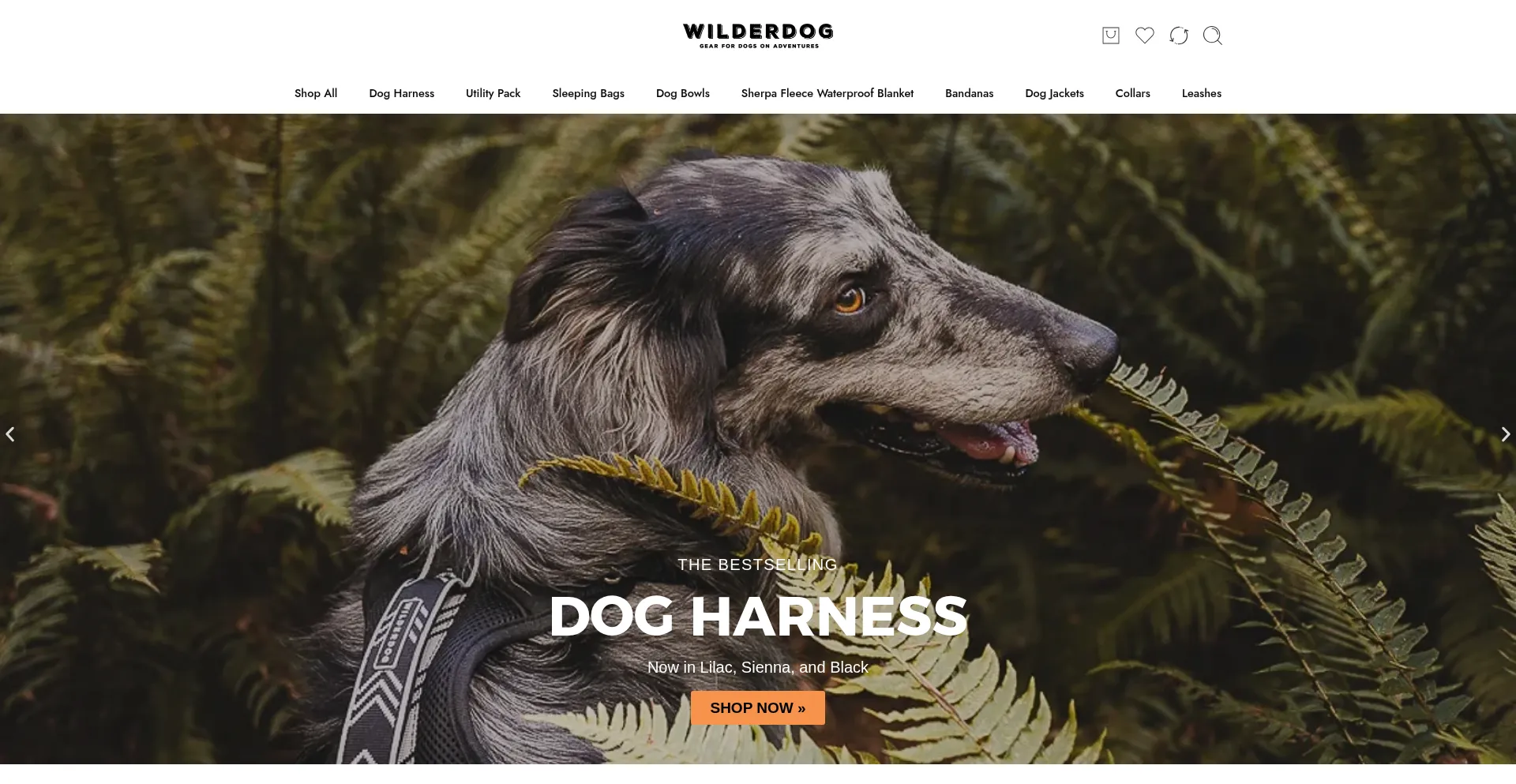 Website screenshot of Traildoggear.com