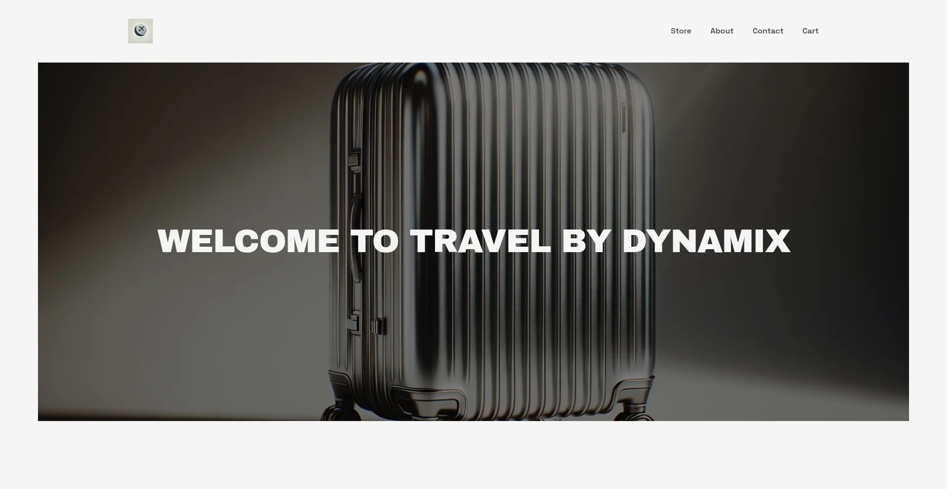 Website screenshot of Travelbydynamix.com