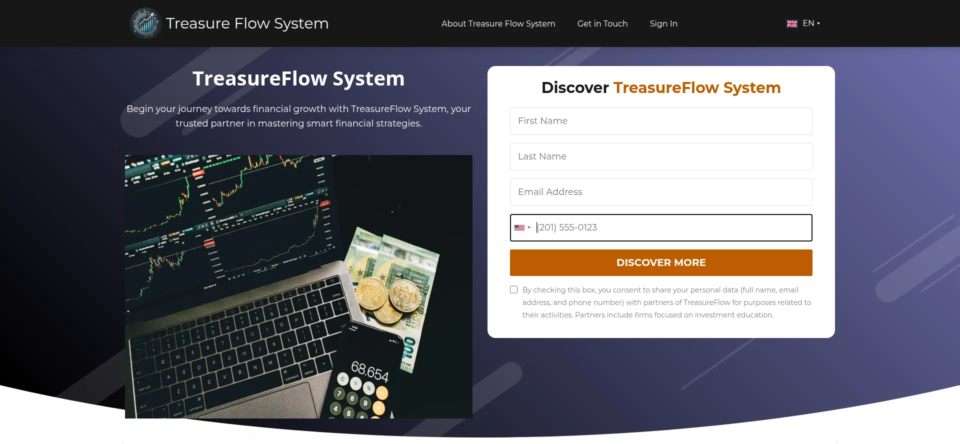 Treasure-flow-system.com