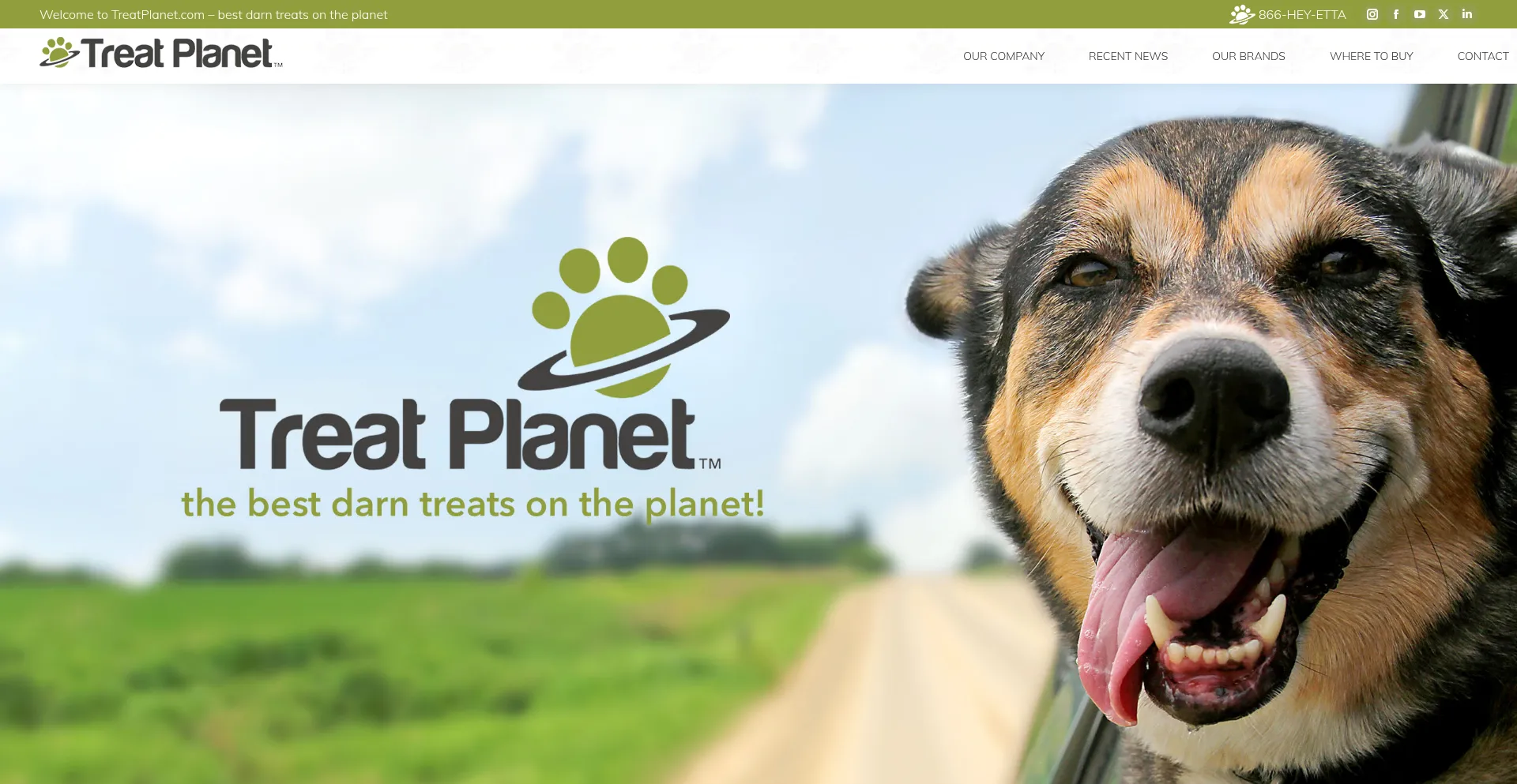 Ist Treatplanet.com sicher und vertrauenswürdig?