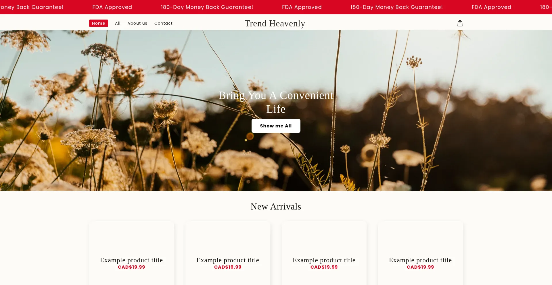 Ist Trendheavenly.com sicher und vertrauenswürdig?