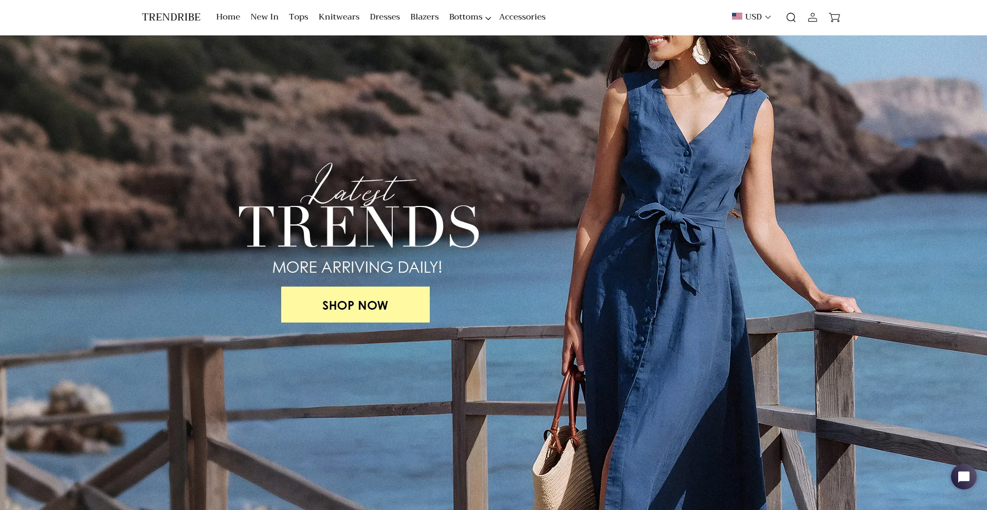 Website screenshot of Trendribe.com