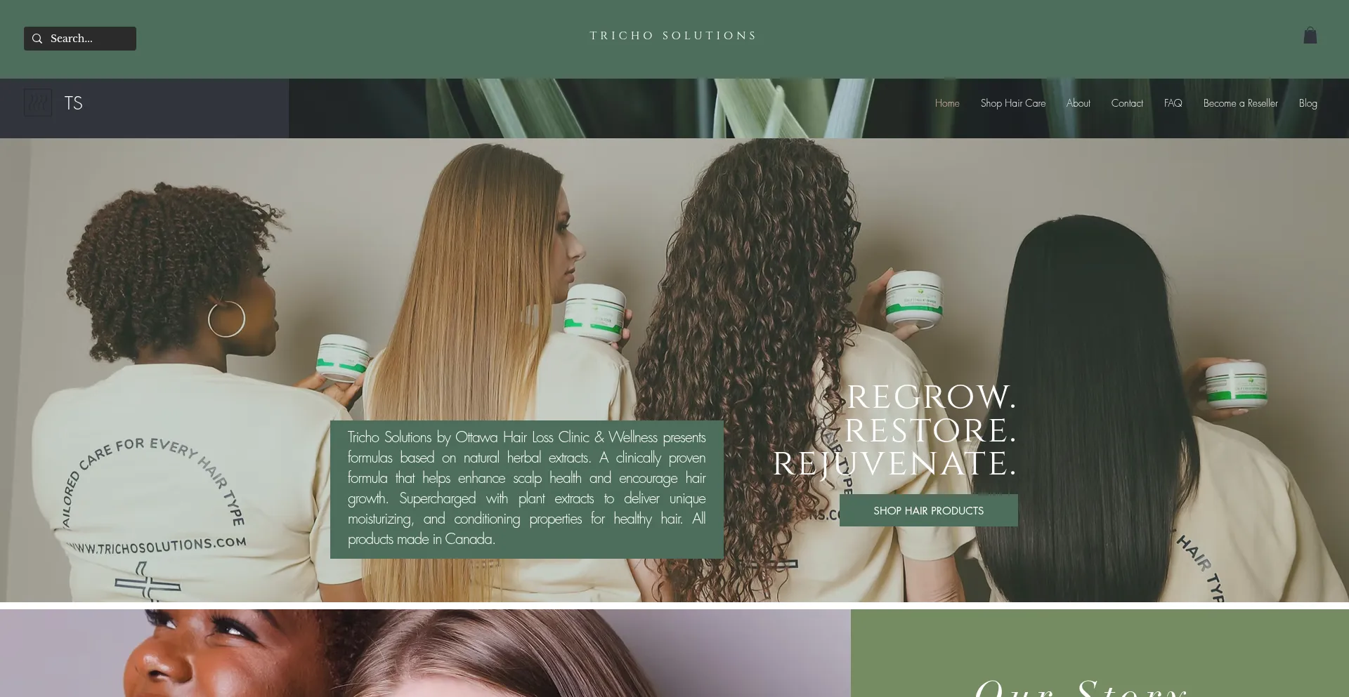 Website screenshot of Trichosolutions.com