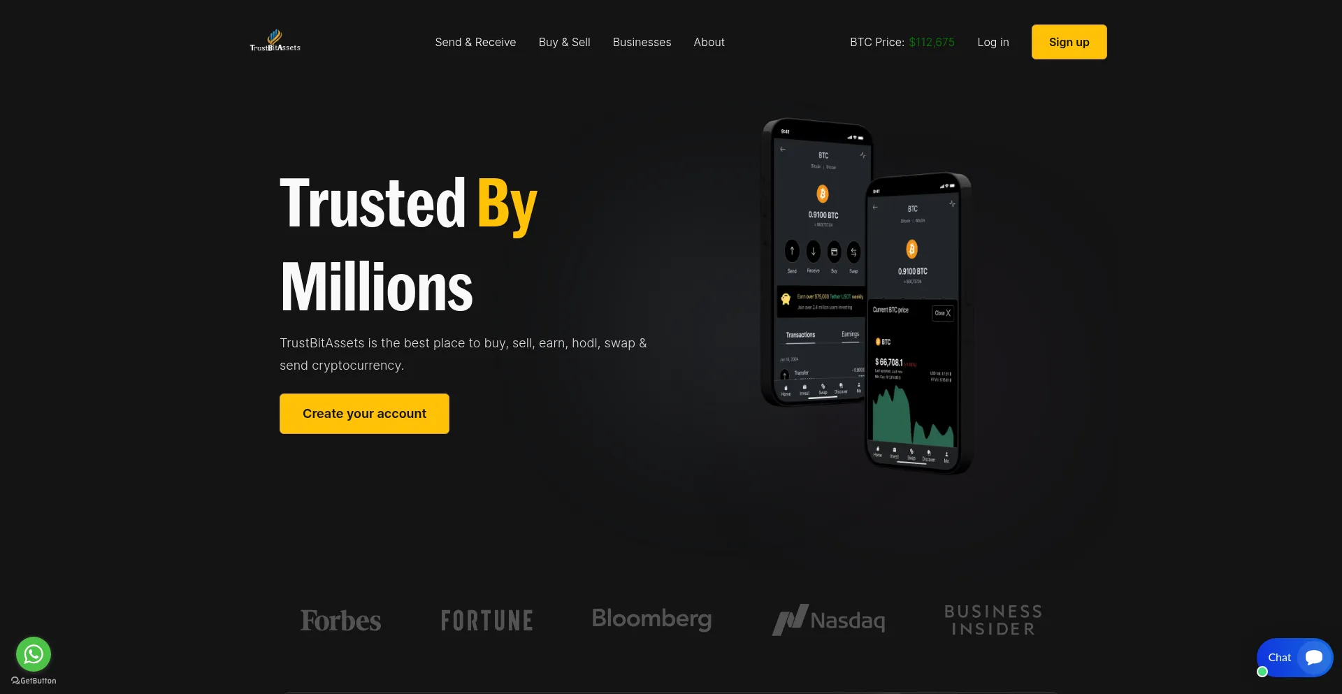 Website screenshot of Trustbitassets.com