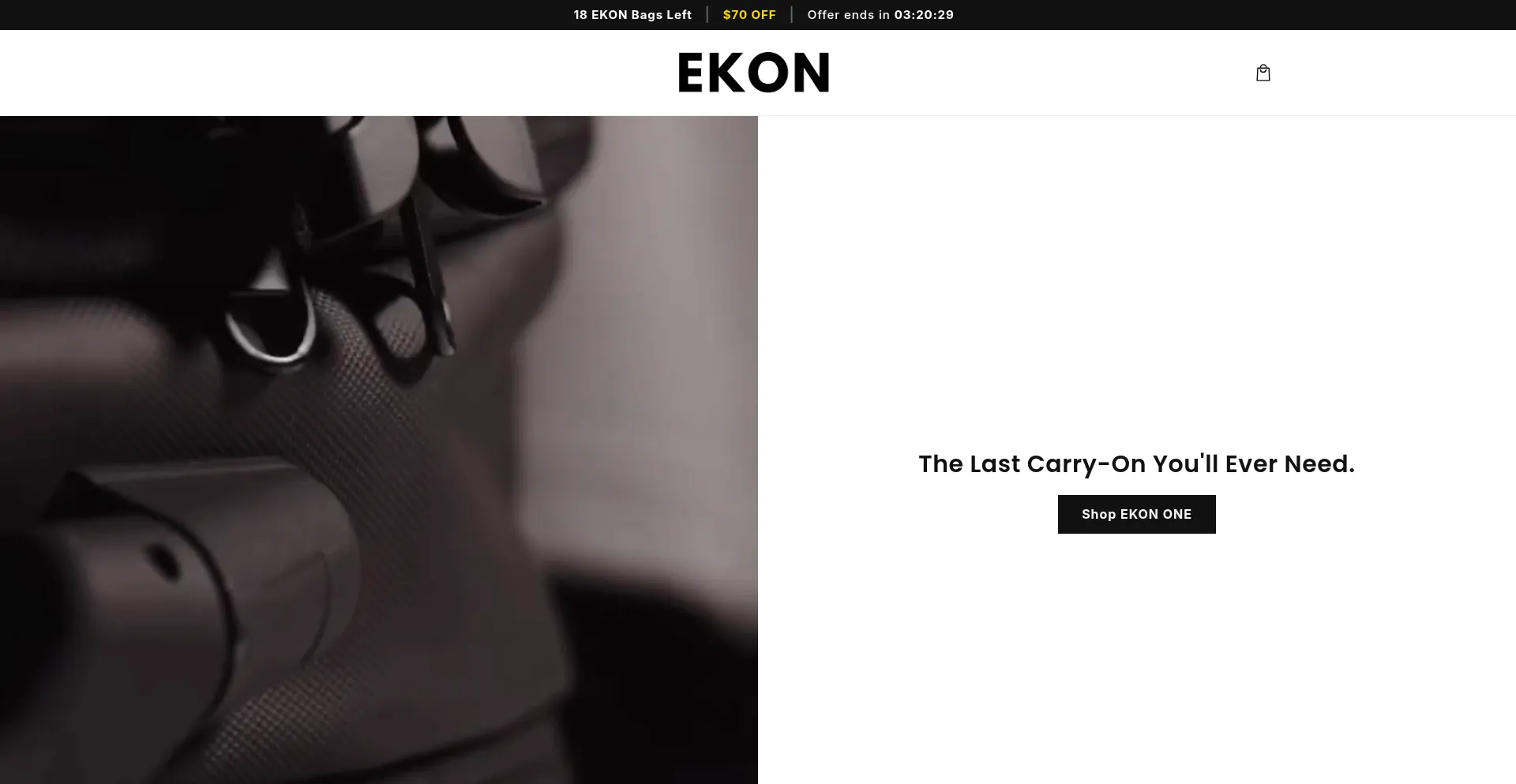 Website screenshot of Tryekon.com