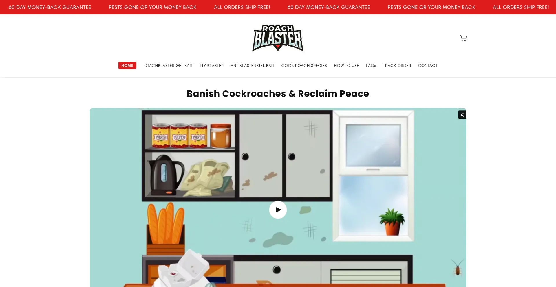 Website screenshot of Tryroachblaster.com