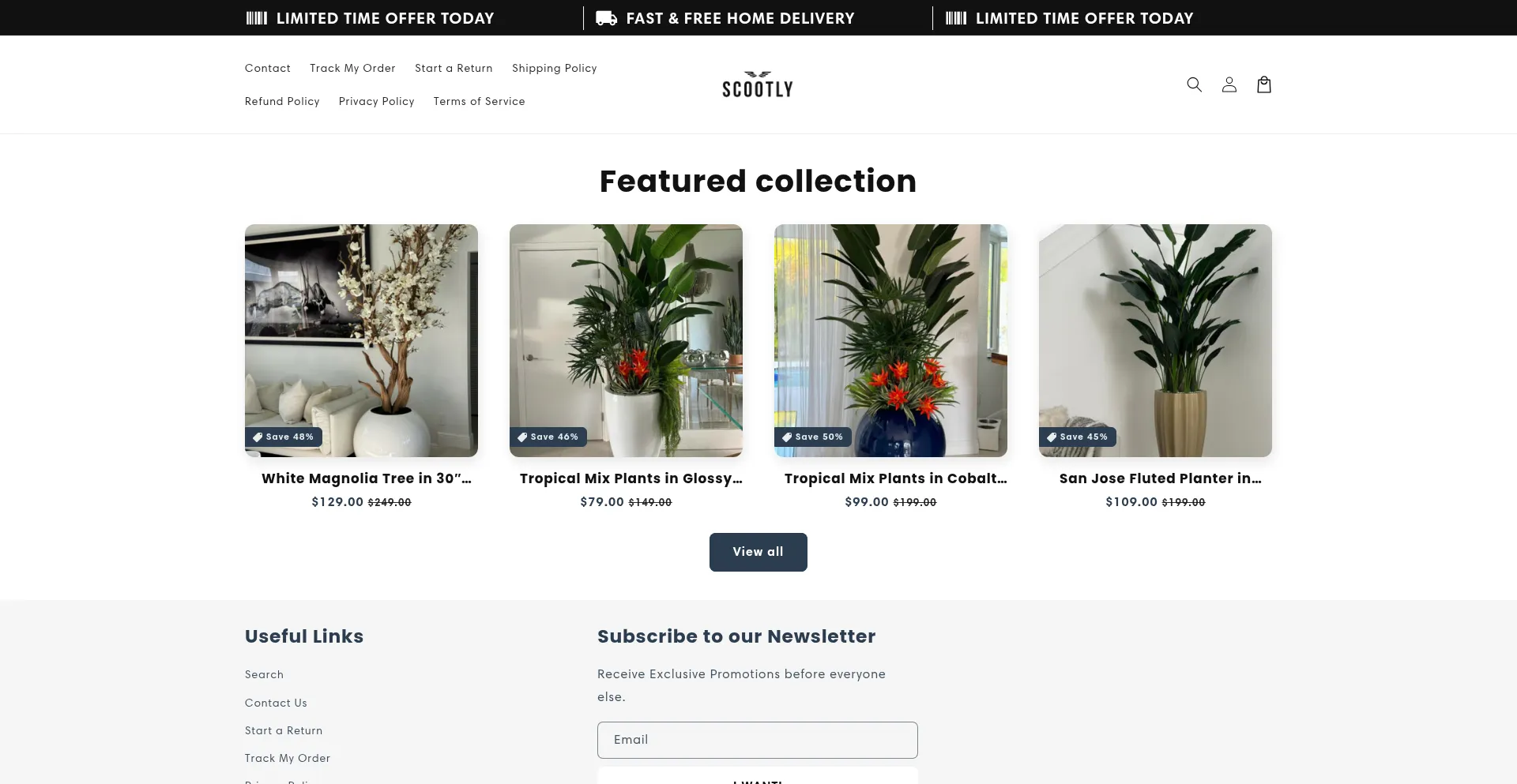 Website screenshot of Tryscootly.com