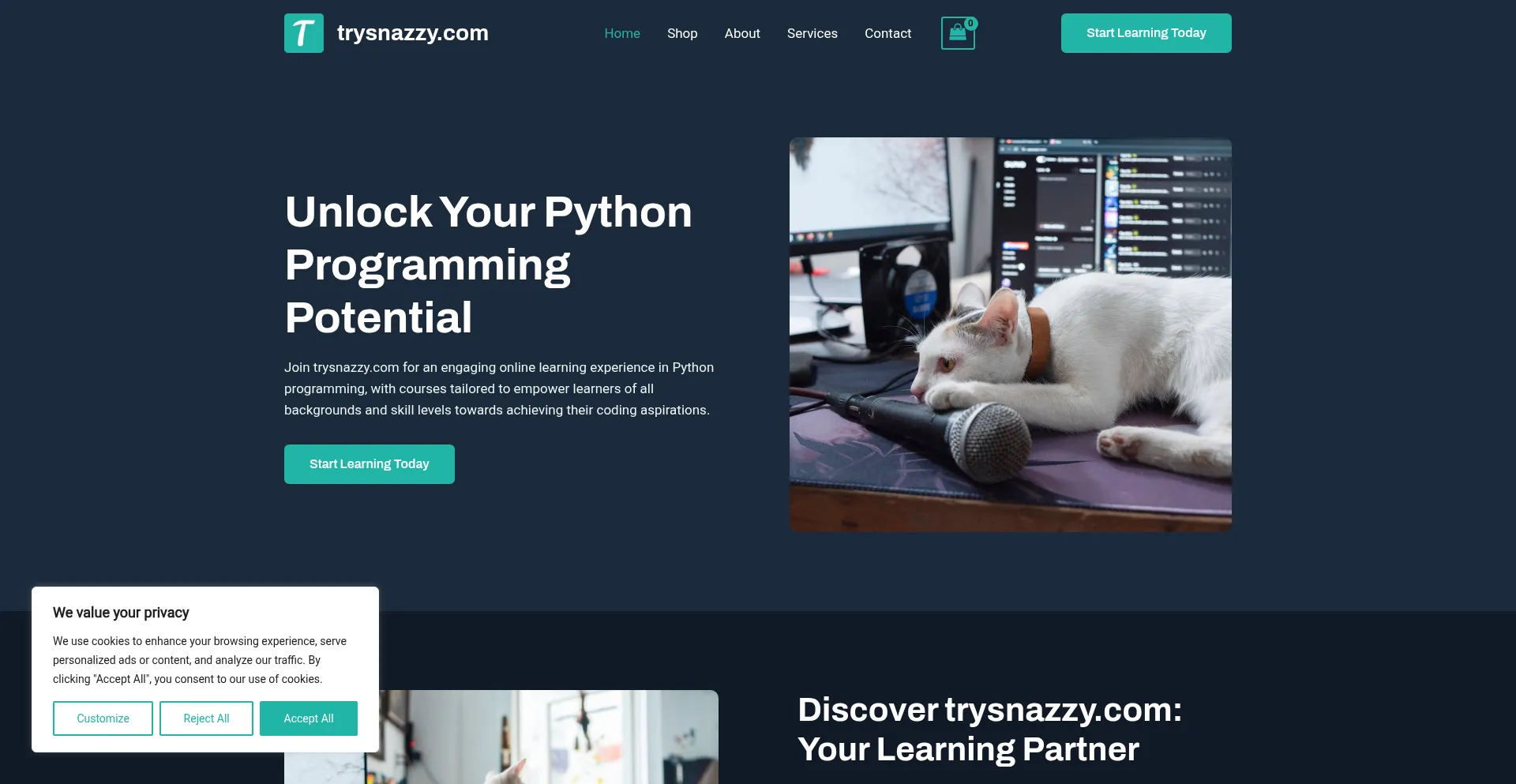 Trysnazzy.com