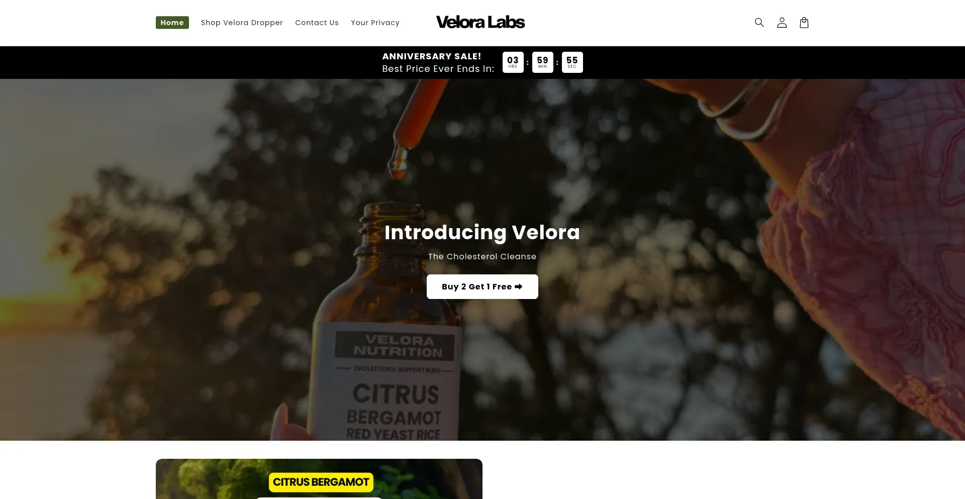 Tryveloralabs.com