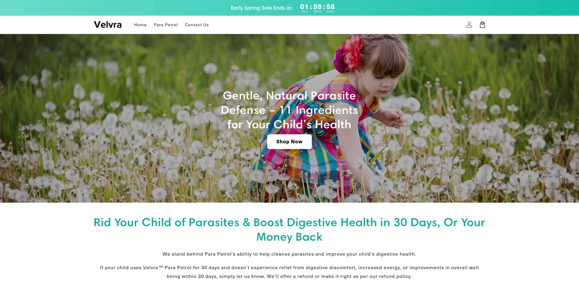 Website screenshot of Tryvelvra.com