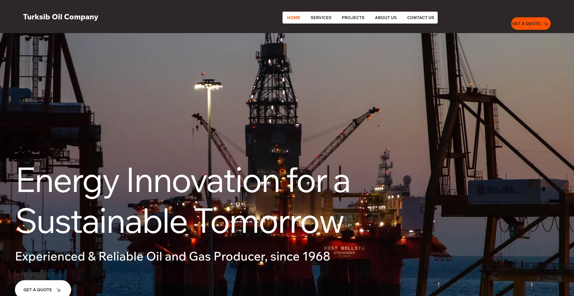 Website screenshot of Turksiboilcompany.com