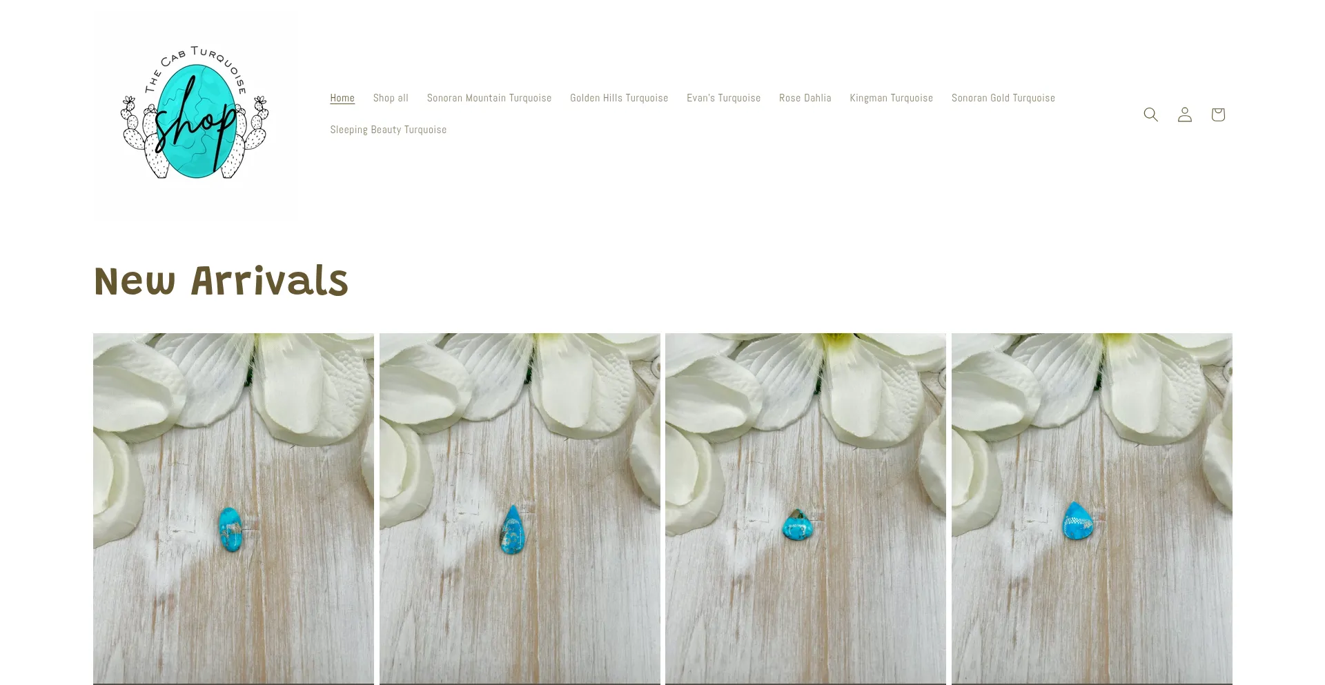 Turquoisecabshop.com