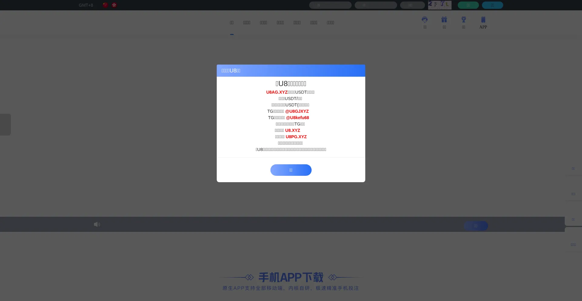 Website screenshot of U8.xyz
