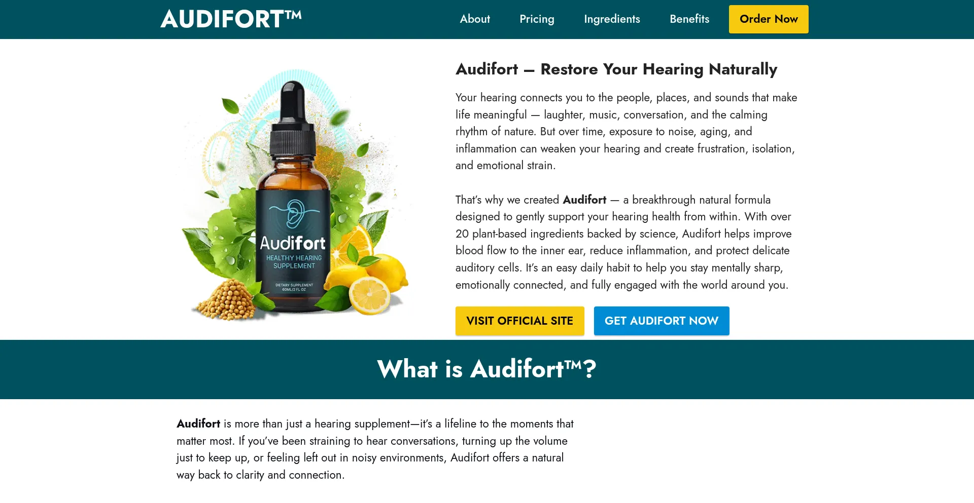 Ist Us-audi-fort-us.com sicher und vertrauenswürdig?