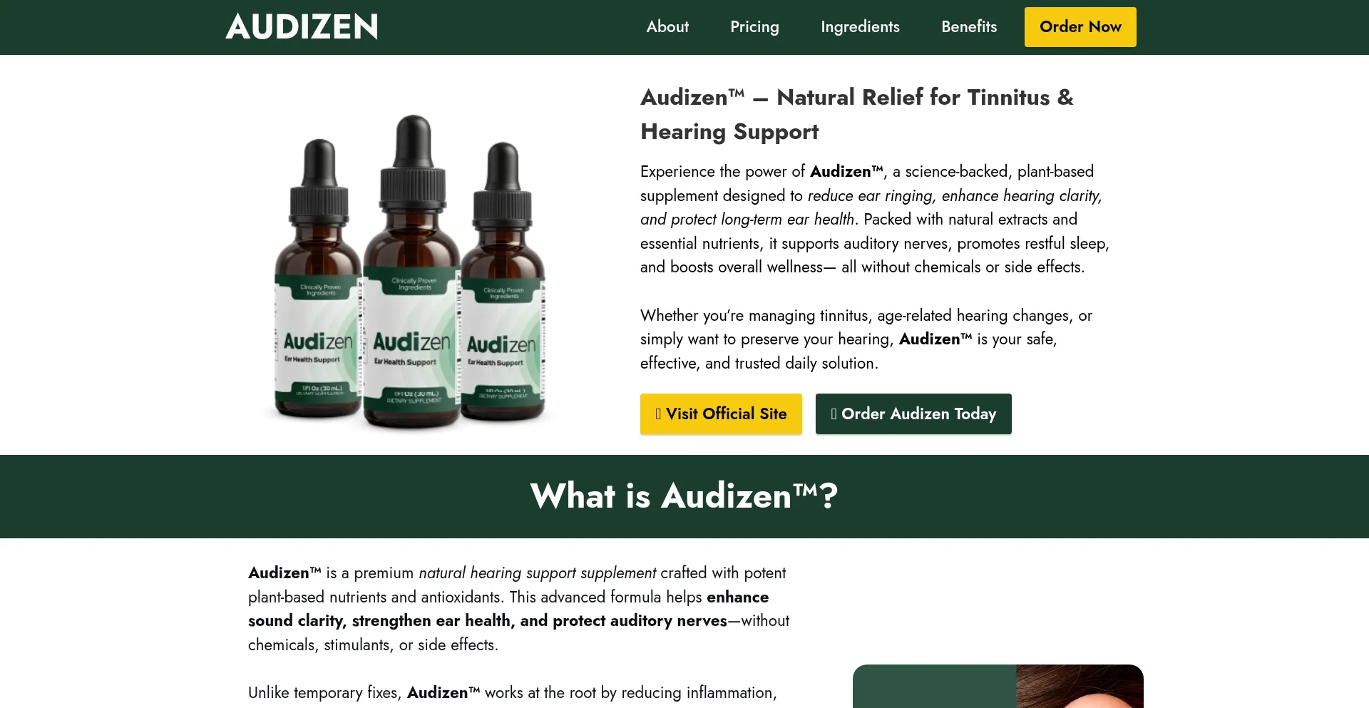 Website screenshot of Us-en-usa-audizen.com