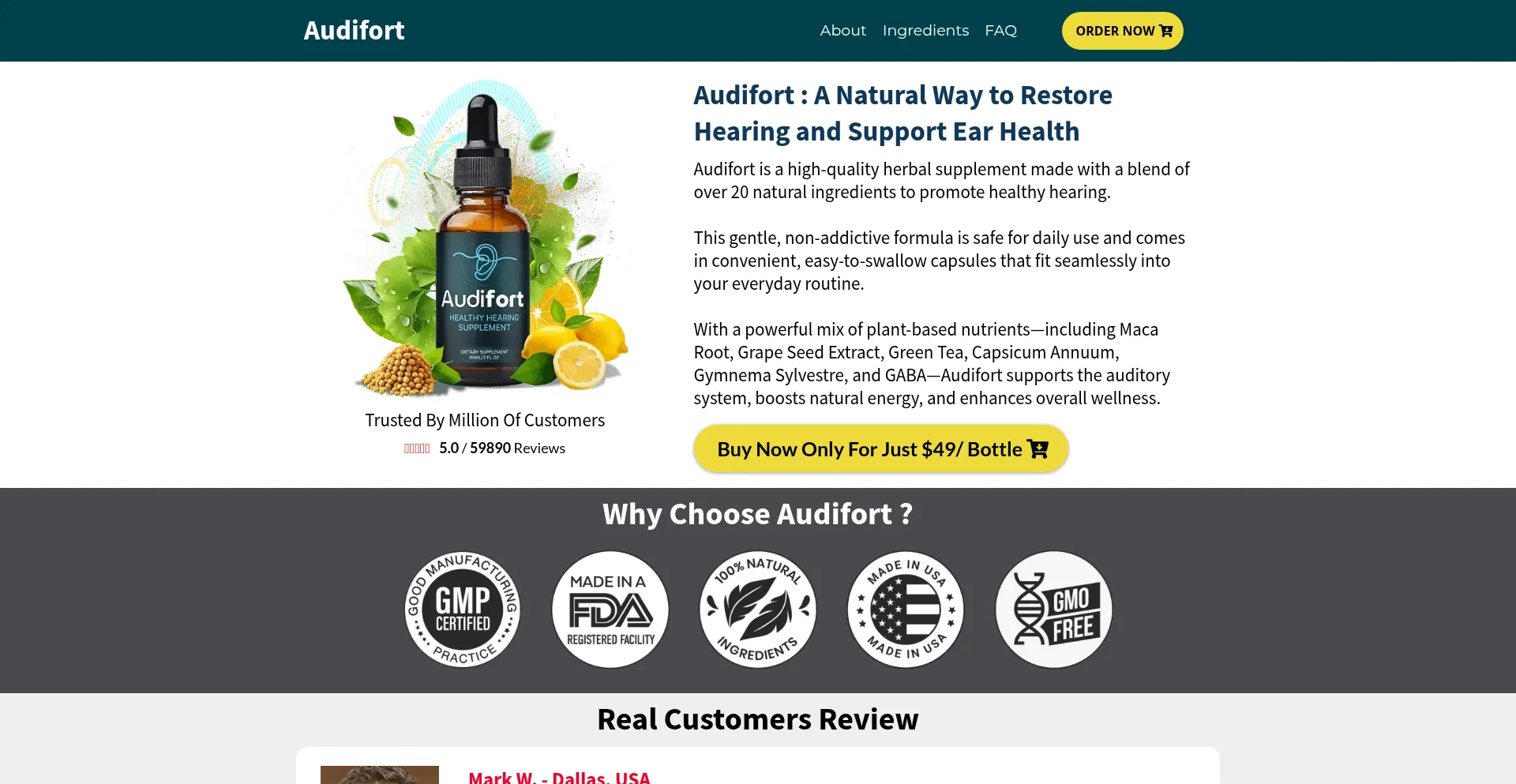 Website screenshot of Us-eng-en-audifort.com