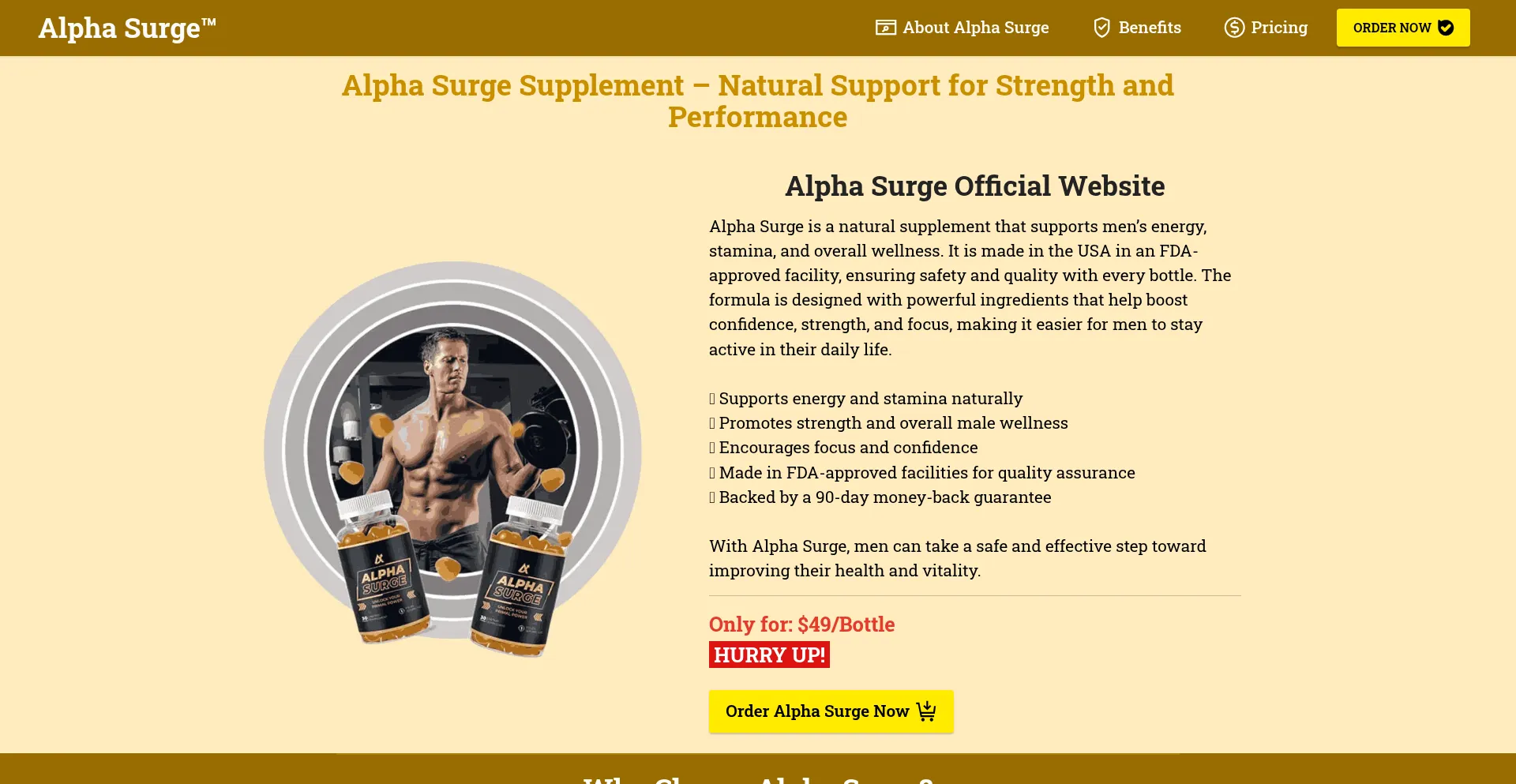 Ist Usa-alphasurge.us sicher und vertrauenswürdig?