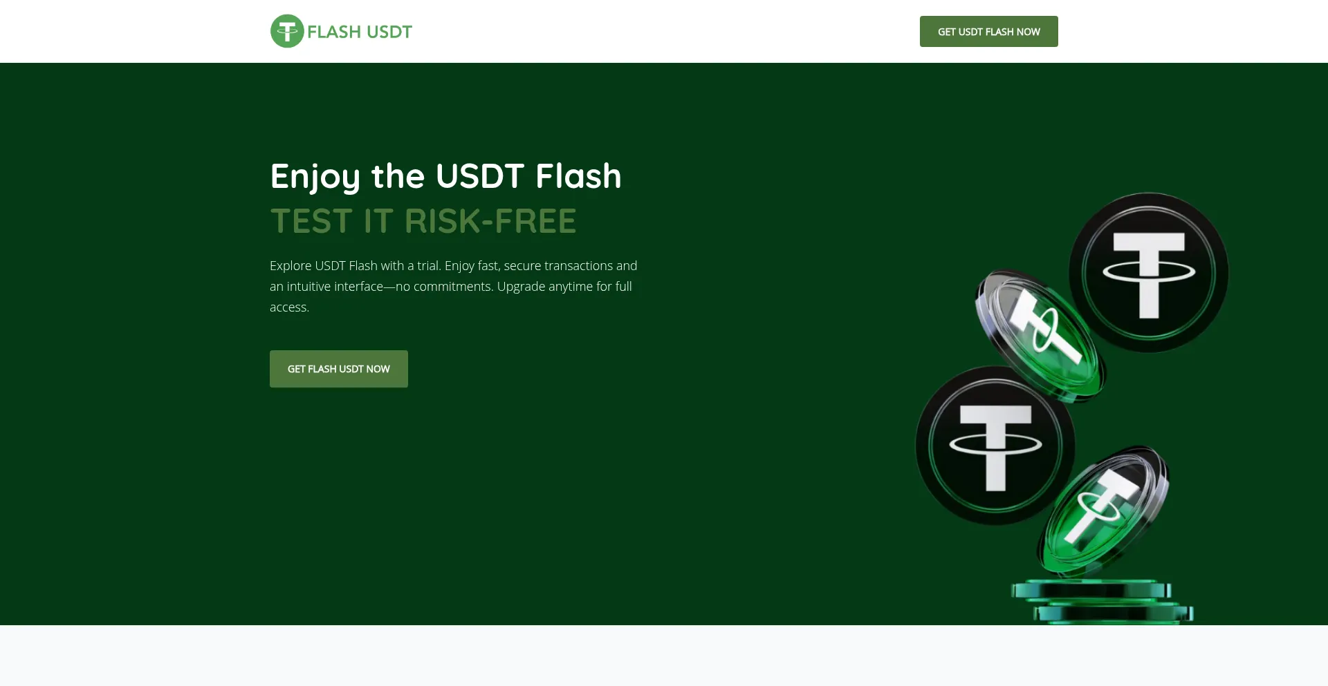 Usdtflash.co.in