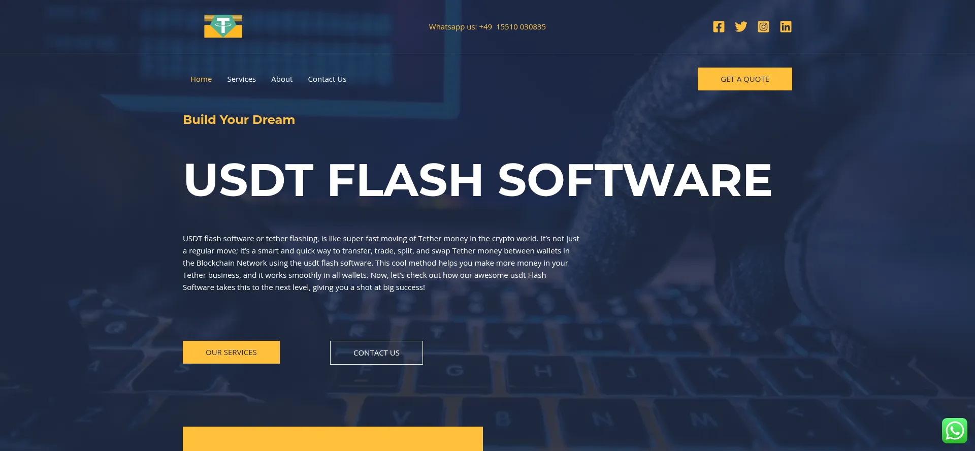 Website screenshot of Usdtflashsoftware.com